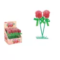 Love Pop display 2x16p